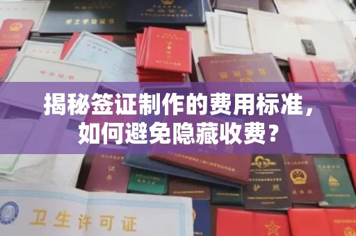 潼关揭秘签证制作的费用标准，如何避免隐藏收费？