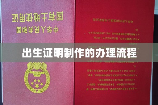 潼关出生证明制作的办理流程