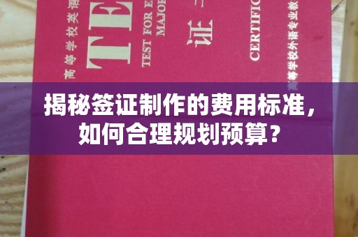 潼关揭秘签证制作的费用标准，如何合理规划预算？