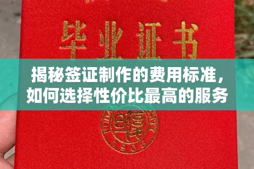 潼关揭秘签证制作的费用标准，如何选择性价比最高的服务？