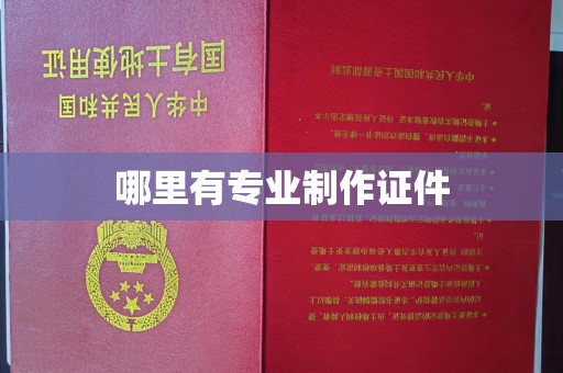 潼关哪里有专业制作证件
