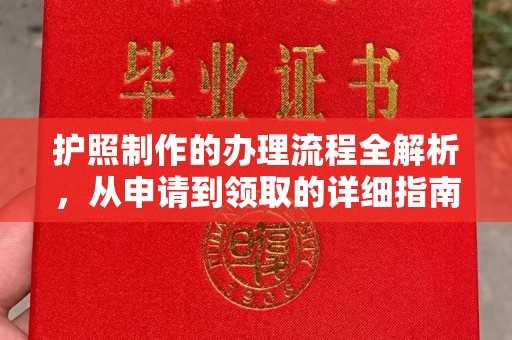 潼关护照制作的办理流程全解析，从申请到领取的详细指南
