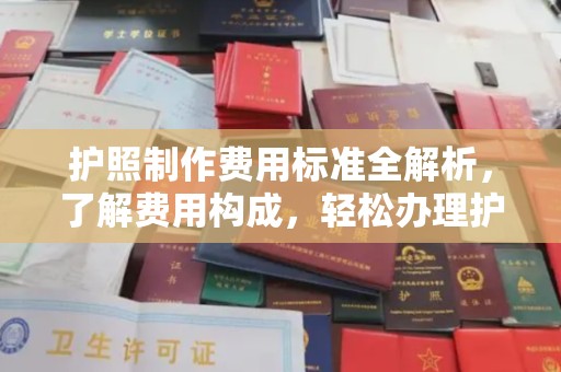 潼关护照制作费用标准全解析，了解费用构成，轻松办理护照